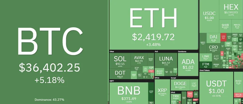 Downturn Deception: The Truth About Crypto's Rebound (Thoughts?)